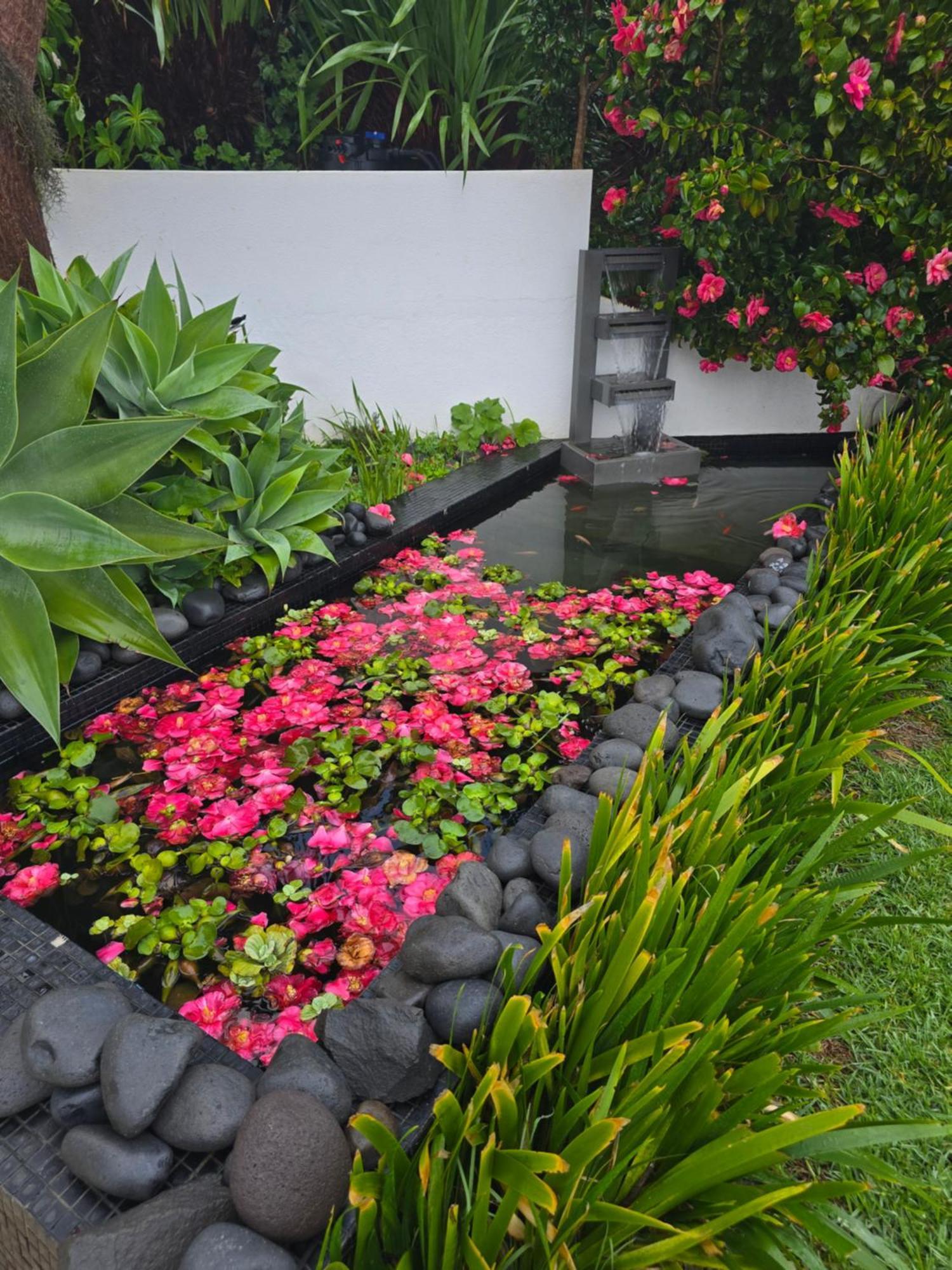 Apartament Horizon Retreat Calheta  Zewnętrze zdjęcie